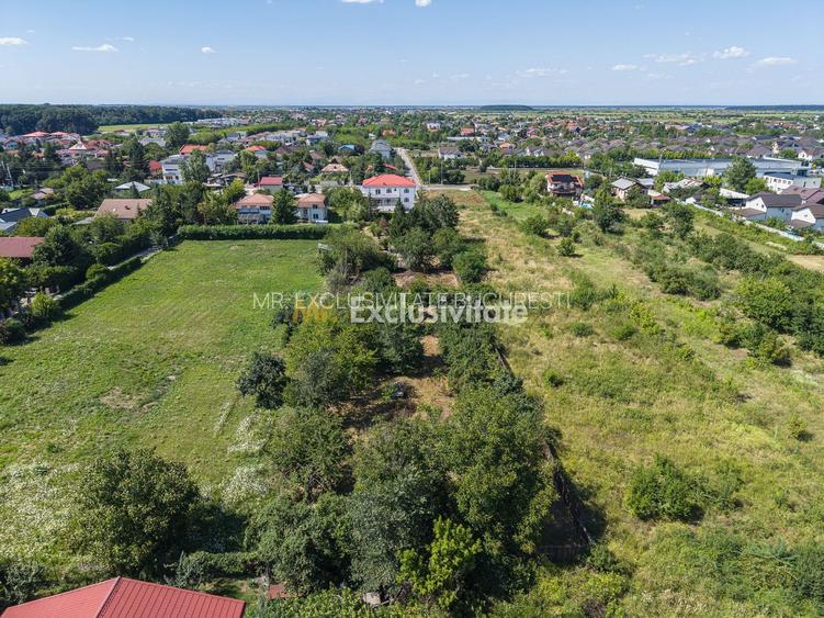 Domeniu privat 5.000 mp, cu reședință de 625 mp și piscină, Corbeanca - 45
