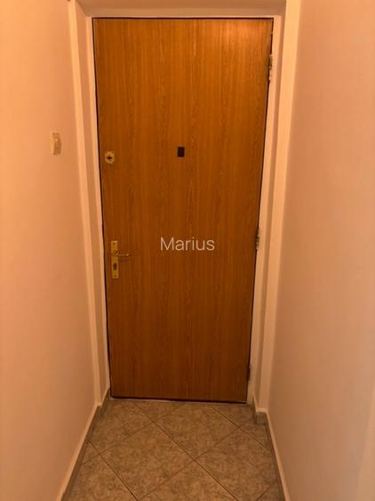 Apartament Unirii- Budapesta - 13