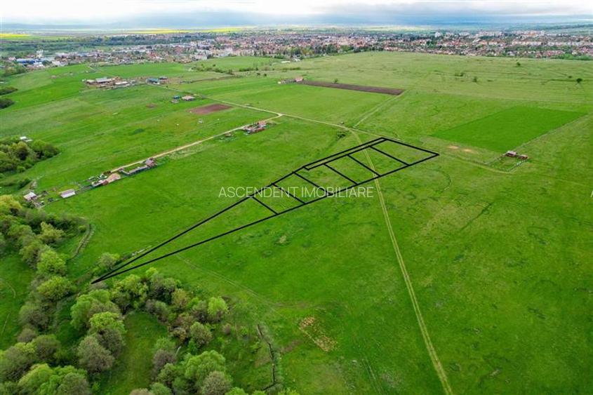 FILM! Loturi teren extravilan, recomandate case de vacanta/recreere, Sfantu Gheo - 2