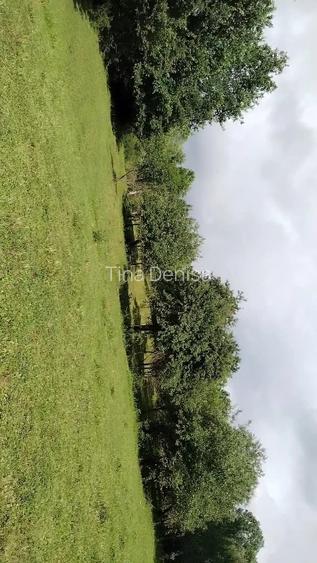 Teren extravilan de vânzare  comuna Șișești sat Șișești Maramures - 6