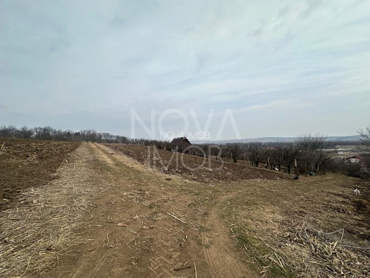 Teren de vanzare in Ocna Sibiului – Locatie premium langa lacurile sarate - 2