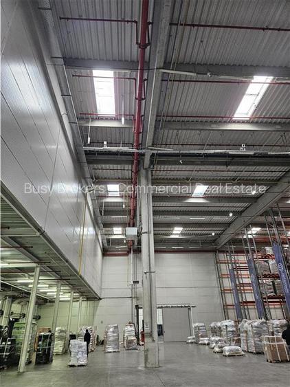 Spatiu Industrial - 3200 mp - Logistica - Depozitare - Distributie - 2