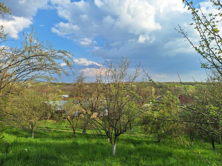 Moșia boierească din vârf de deal, Scorțeni - Prahova, comision 0% - 16