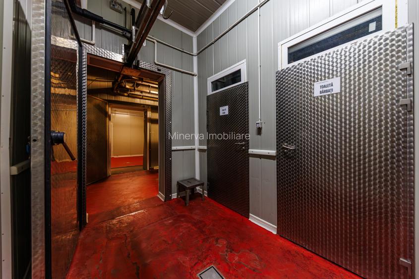 Hala depozitare, Dumbravița Timis, 1285 mp, Farma GDP Medical Cosmetice 6000 Eur - 11