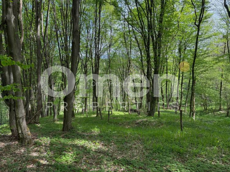 Ideal pentru cabana | zona de camping - 2