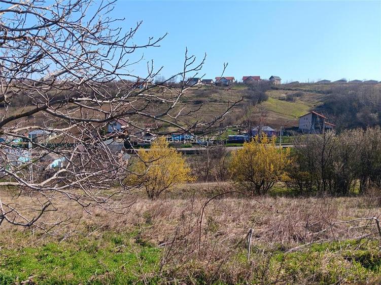 OCAZIE! Vorovesti Teren 83000mp intrav. si extrav. cu utilitati - 9