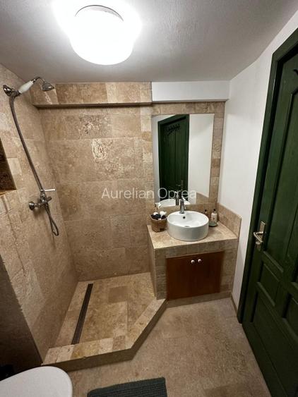 Casă de vacanță tip Chalet pe Valea Muresului  - 13