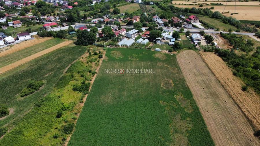 Teren Constructii Intravilan 4750mp SABARENI - 0% COMISION - 4