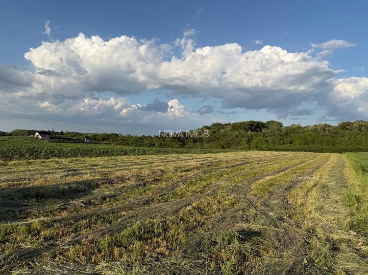 Teren de vanzare in Ocna Sibiului – Locatie premium langa lacurile sarate - 2