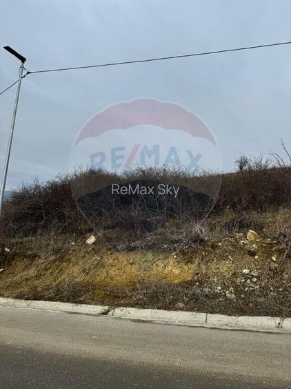 Teren Dezmir 2900 mp de vânzare, strada Trandafirilor, 0% Comision - 4