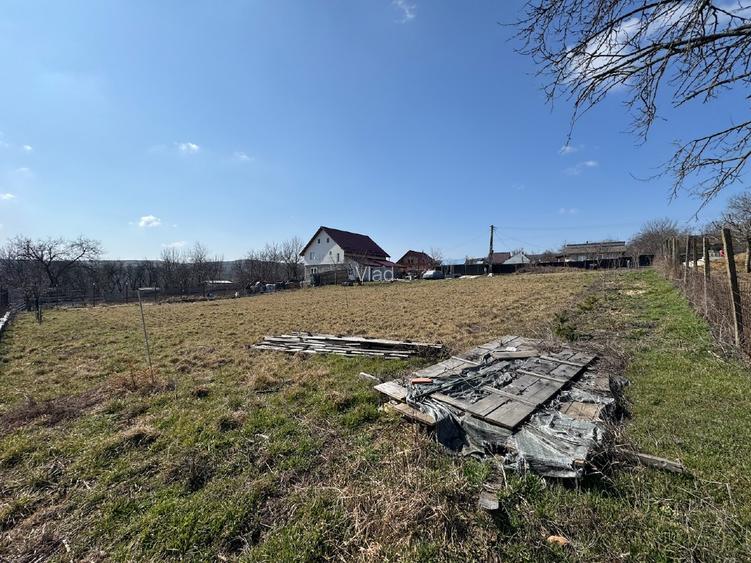 Teren 1797mp Dobrovăț-Ruși | Lângă Pădure | Gard Aluminiu & Fântână - 3