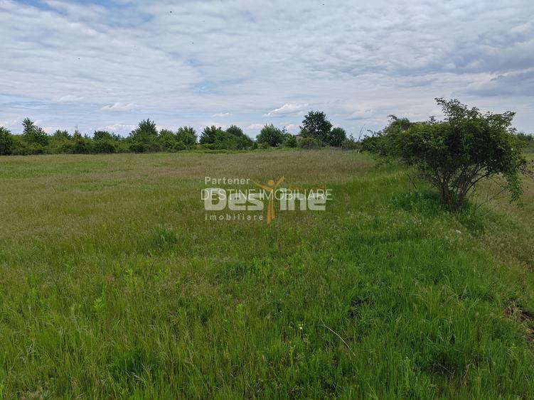 Teren extravilan, 114000 mp, Parc industrial West Park - 11