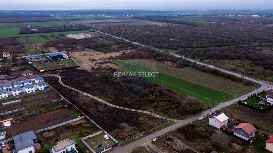 Vanzare teren intravilan 10.000mp Afumati - Strada Teiului - 6