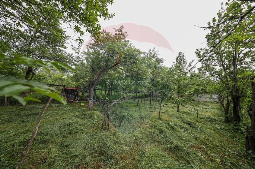 Casă de vacanta, cu annexe si pomi fructiferi, Ungra! - 22