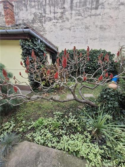 BANATIM - 6 CAM - 2 CASE INDIVIDUALE - CURTE - GRADINA - CENTRALA - 17