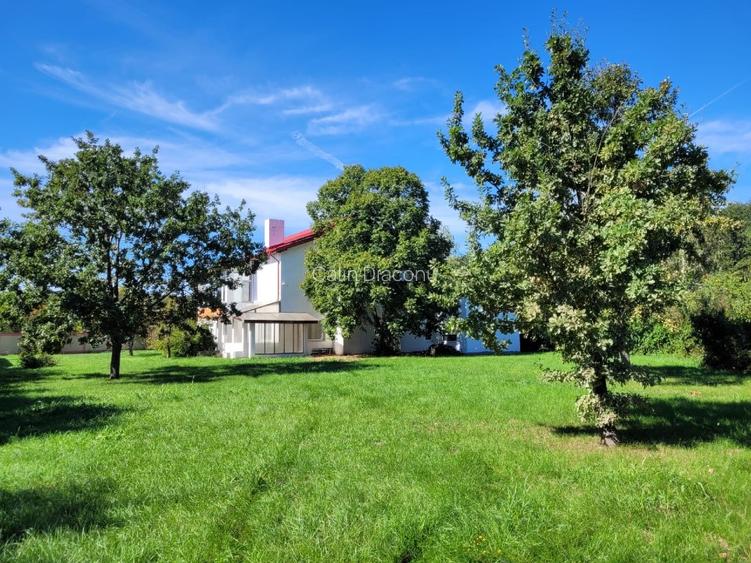 Casă S+P+1+M cu teren 2500 mp. Săftica Balotești,  Comision 0% - 2