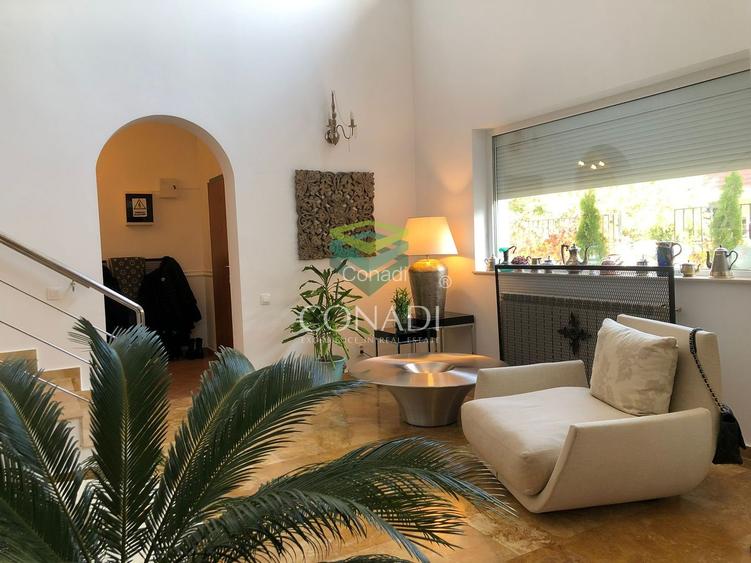 Baneasa- Iancu NIcolae, vila cu 6 camere de vanzare, 400 mp utili - 4