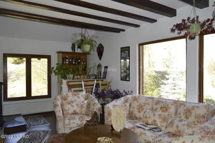 Topoloveni - Conacul Ion Mihalache, Domeniu pe 5 Hectare! - 23