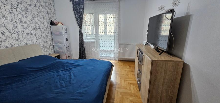 Apartament cu 2 camere de vanzare decomandat zona Faget - 8