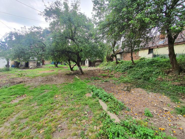 Teren rezidential Tohan, Zarnesti zona de case - 3