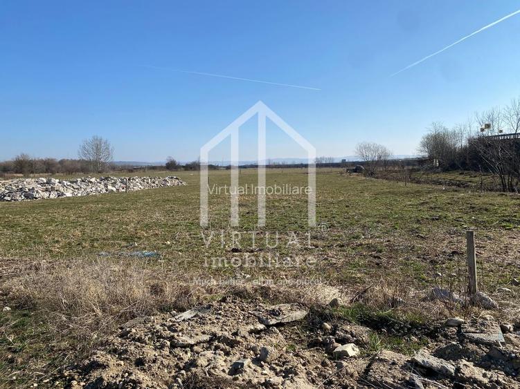 Teren intravilan si extravilan, suprafata 16,310 mp,  langa Autostrada - 6