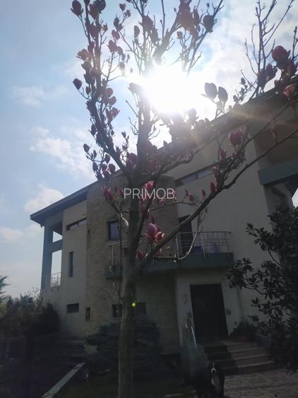 Mogosoaia vila robusta cu view unic catre palat si parc,ponton pe lac,dendrariu - 10