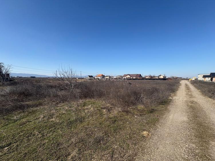 Teren de vânzare – Strada Rovine – loturi ideale pentru construcție - 3