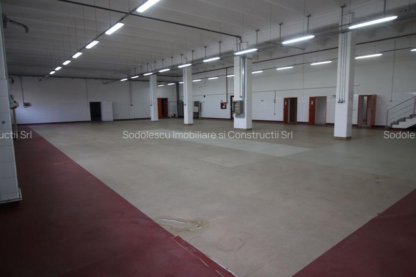 Hala productie    - Calea Torontalului de vanzare - 5