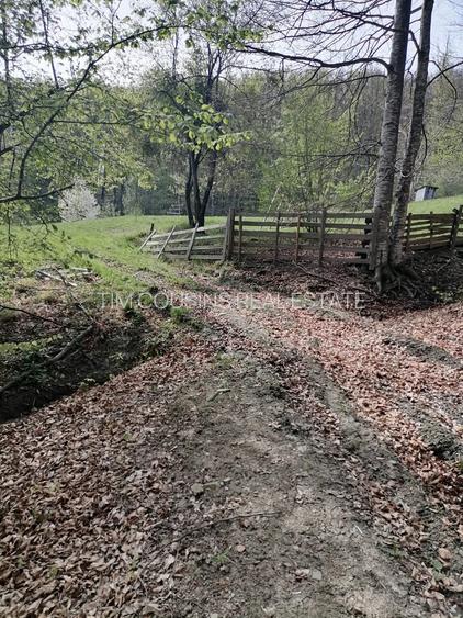 Vanzare teren exceptional, Valea Doftanei, Florei-Secaria, 22000mp, 250 000 euro - 3