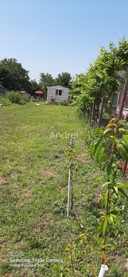 Teren 1000mp Dragomiresti-Vale - 10