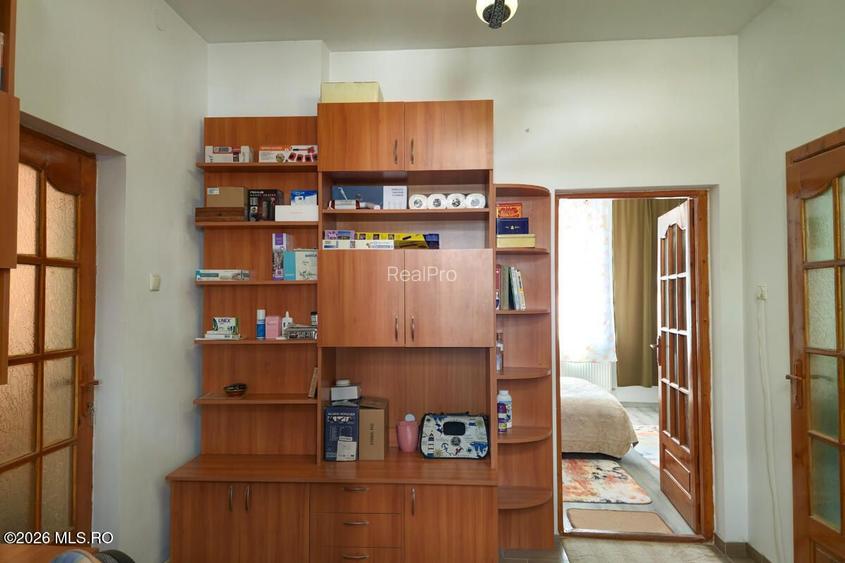 Lunei - Ion Neculce, 2 Apartamente. Mansarda 157 mp. Anexe, Lot 475 mp - 32
