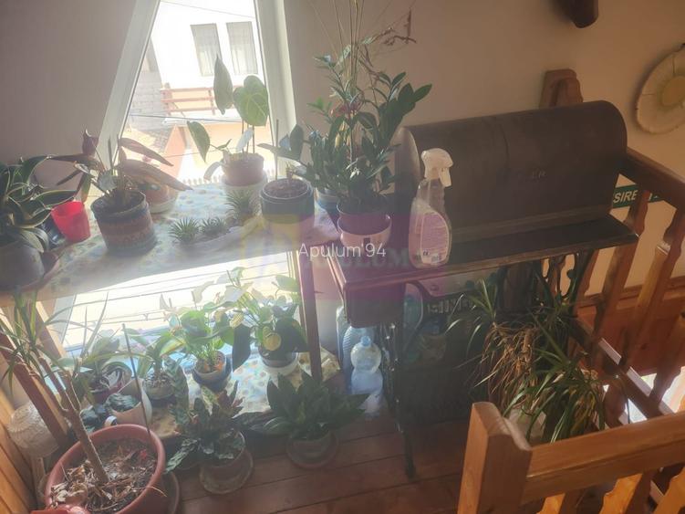 Vila de vacanta de vanzare in Busteni - Zona Zamora - 23