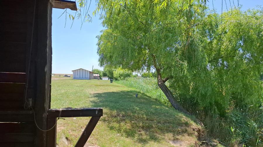 Închiriez Baltă de Pescuit – 12 Ha de Relaxare și Capturi - 5