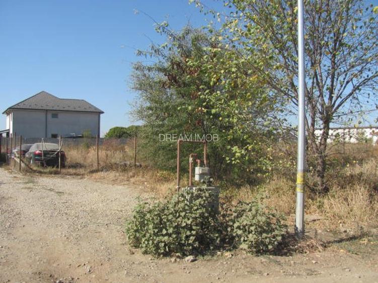 prelungirea Ghencea Iernii - 7