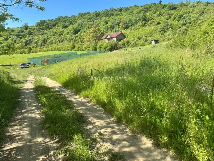 Teren de vanzare, Tauti, 2300 Mp - 3