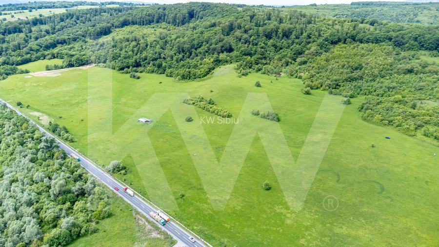 Teren de vânzare – 4.000 mp la intrare in Bradu, județul Sibiu - 9
