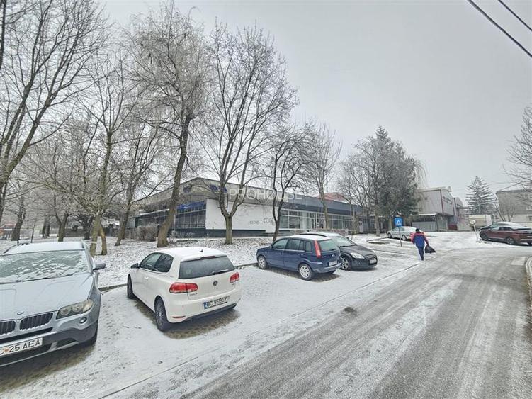 Spatiu Comercial, 250mp, Narcisa-ONIX - 2