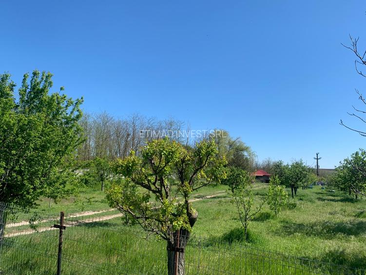 FERMĂ - PIETRENI - DN3 - UTILITĂȚI - 10.680 MP - 21