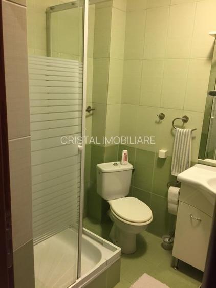 Apartament 2 camere de închiriat Văcărești - 7