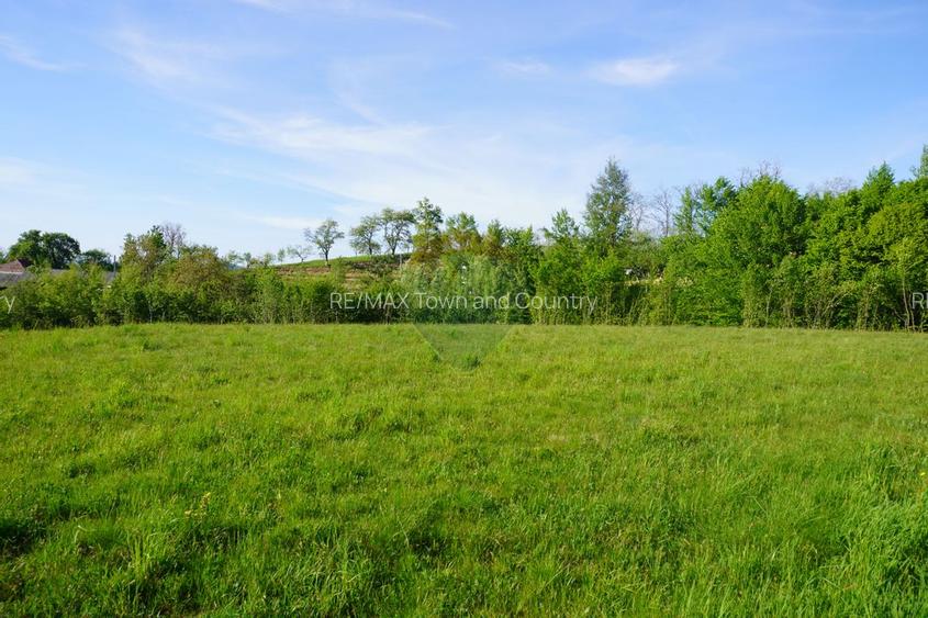 Teren 33,137mp Sighetu Marmatiei / Strada Mocanitei - 8