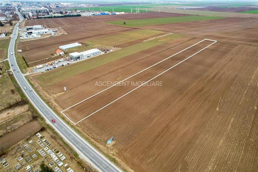 FILM! Teren intravilan 7.850 mp, Chilieni, Sfantu Gheorghe - 2