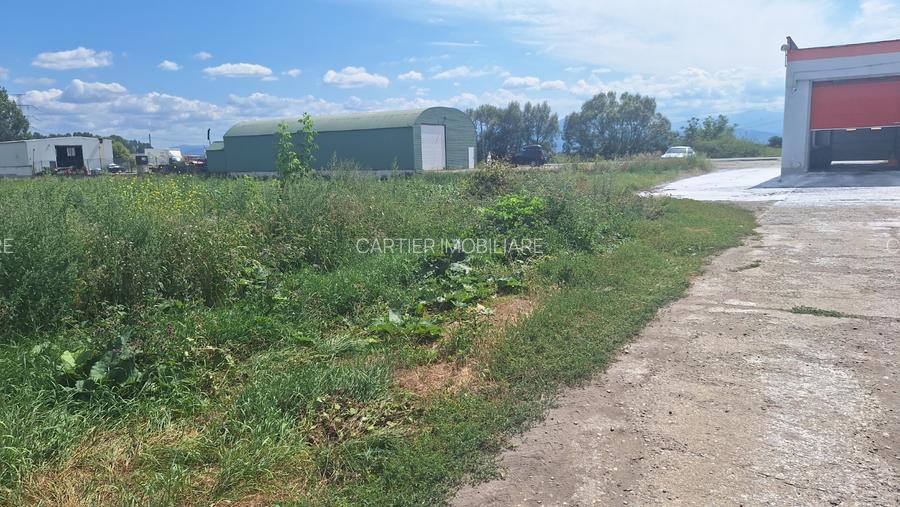 Vand teren 1.5 ha intravilan industrial Halchiu - 6