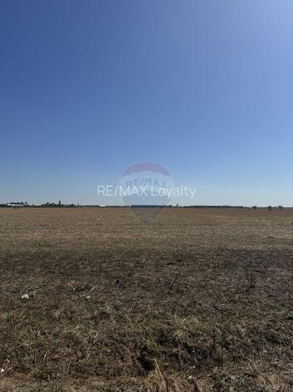 Teren 12,464mp Chitila / Strada Padurii - 3