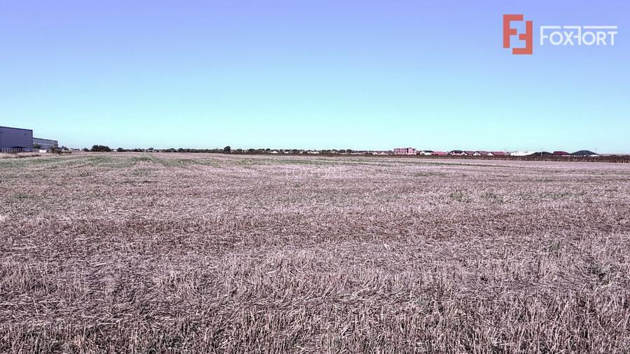 COMISION 0% Teren extravilan 40.000 mp - zona Sanandrei - 4