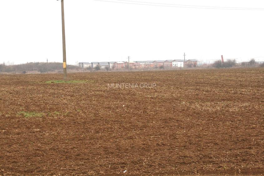 OTOPENI - Str. Drumul Garii Balotesti, 30.400 mp. teren ideal dezvoltare imob. - 6
