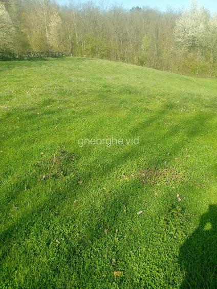 Vând terenuri,intravilane și extravilane !!! - 5