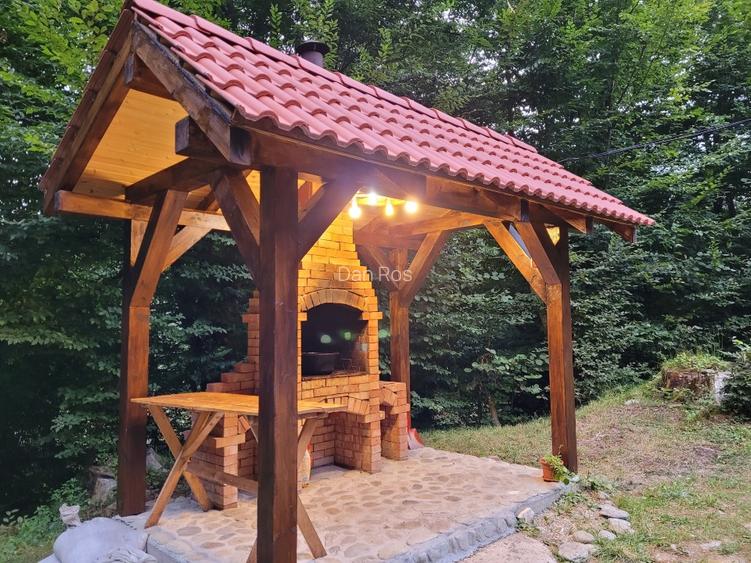 Vila cu 6 dormitoare, Porumbacu de Sus, Zona Turistica - 10