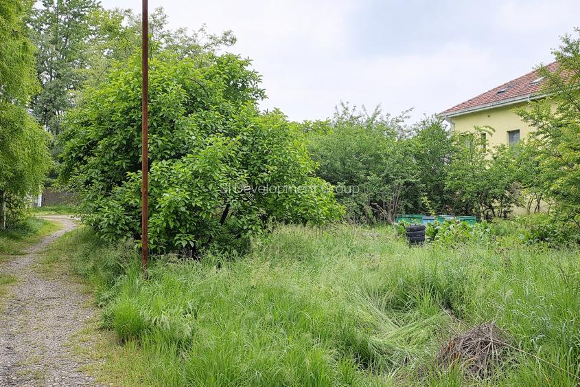 Teren Balotesti - Intravilan Constructii - 833 mp - Utilitati - Lac - Ocazie - 3