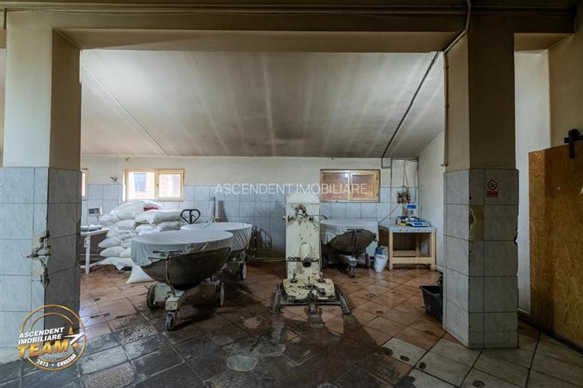 Spatiu comercial+afacere functionala: brutarie,rute de distributie,Ghelinta - 19