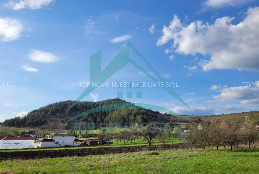 EXCLUSIVITATE! Teren intravilan de vanzare in zona linistita, sat Vlaha! - 7